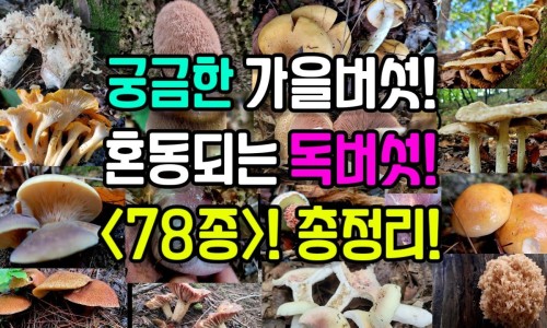 静脉炎的症状及引起的原因-静脉炎有什么症状表现、静脉炎症状及治疗方法 -静脉炎哪些症状网